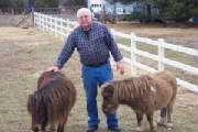 2horses.jpg
