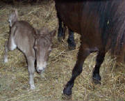 623baby3.jpg