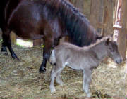623baby4.jpg
