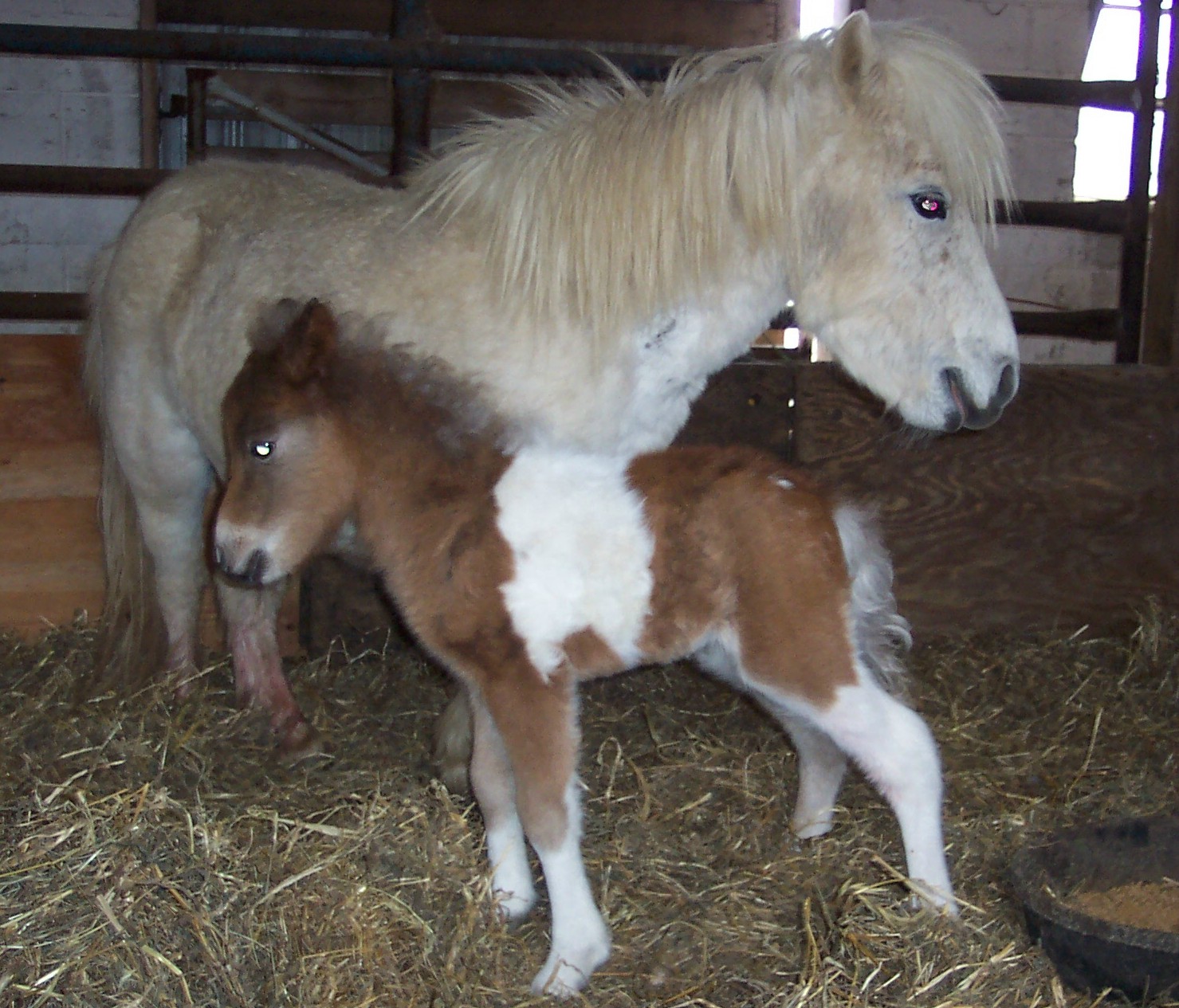 newbaby2014.jpg